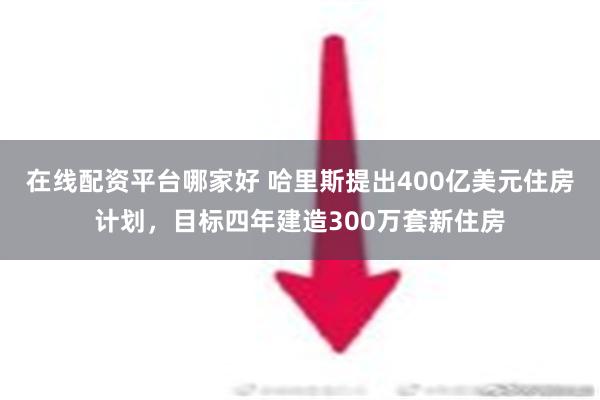 在线配资平台哪家好 哈里斯提出400亿美元住房计划，目标四年建造300万套新住房