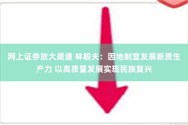 网上证劵放大渠道 林毅夫：因地制宜发展新质生产力 以高质量发展实现民族复兴