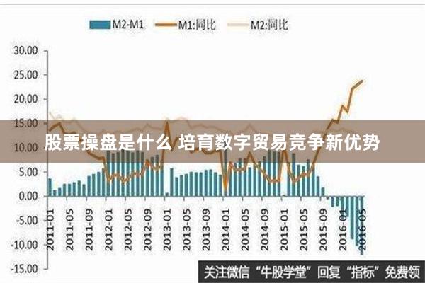 股票操盘是什么 培育数字贸易竞争新优势