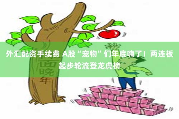 外汇配资手续费 A股“宠物”们年底嗨了！两连板起步轮流登龙虎榜