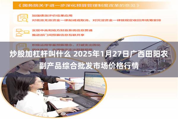 炒股加杠杆叫什么 2025年1月27日广西田阳农副产品综合批发市场价格行情