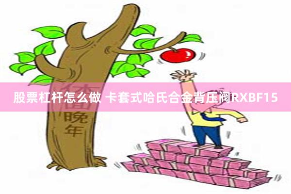 股票杠杆怎么做 卡套式哈氏合金背压阀RXBF15