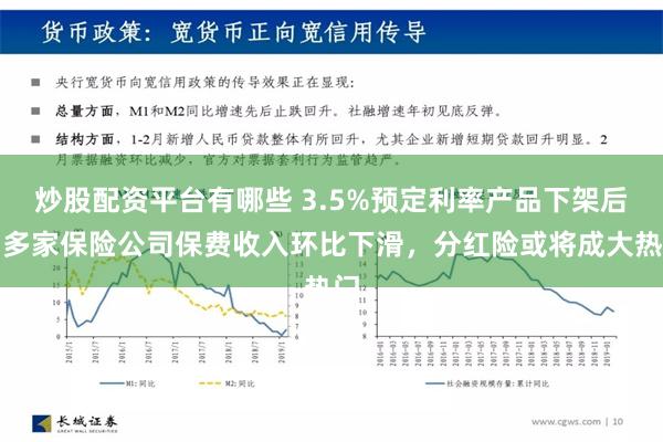 炒股配资平台有哪些 3.5%预定利率产品下架后，多家保险公司保费收入环比下滑，分红险或将成大热门